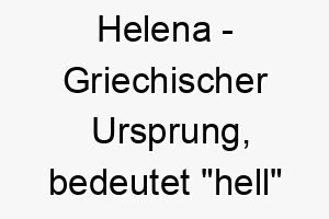 helena griechischer ursprung bedeutet hell oder strahlend bedeutung als hundename perfekt fuer einen strahlenden intelligenten hund 14686