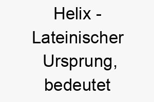 helix lateinischer ursprung bedeutet spirale bedeutung als hundename ideal fuer einen energischen wendigen hund 14698