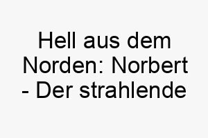 hell aus dem norden norbert der strahlende name fuer clevere hunde 23116