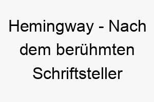 hemingway nach dem beruehmten schriftsteller ernest hemingway ein kulturell angehauchter name fuer einen tiefgruendigen hund 19991