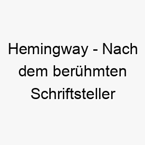 hemingway nach dem beruehmten schriftsteller ernest hemingway ein kulturell angehauchter name fuer einen tiefgruendigen hund 19991