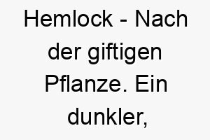 hemlock nach der giftigen pflanze ein dunkler mysterioeser name fuer einen hund 20083