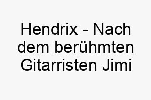 hendrix nach dem beruehmten gitarristen jimi hendrix ein rockiger name fuer einen hund der das rampenlicht liebt 19985