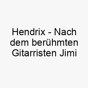 hendrix nach dem beruehmten gitarristen jimi hendrix ein rockiger name fuer einen hund der das rampenlicht liebt 19985