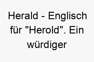 herald englisch fuer herold ein wuerdiger name fuer einen hund der gerne verkuendigungen macht oder die aufmerksamkeit auf sich zieht 20095