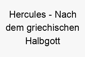 hercules nach dem griechischen halbgott herkules ein maechtiger name fuer einen starken hund 20070