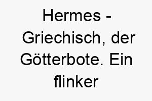 hermes griechisch der goetterbote ein flinker name fuer einen schnellen oder agilen hund 20021