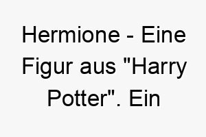 hermione eine figur aus harry potter ein kluger name fuer einen weisen oder gelehrigen hund 19989