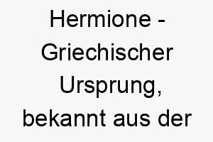 hermione griechischer ursprung bekannt aus der griechischen mythologie und der harry potter reihe bedeutung als hundename ideal fuer einen klugen loyalen hund 14692