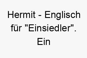 hermit englisch fuer einsiedler ein passender name fuer einen hund der seine ruhe geniesst 20058