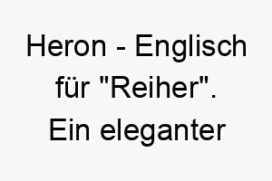 heron englisch fuer reiher ein eleganter name fuer einen hund mit anmutigem gang 20001