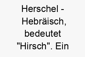 herschel hebraeisch bedeutet hirsch ein guter name fuer einen schnellen oder anmutigen hund 20062