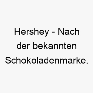 hershey nach der bekannten schokoladenmarke ein suesser name fuer einen liebenswerten oder schokoladenfarbenen hund 20015