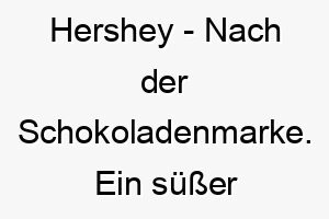 hershey nach der schokoladenmarke ein suesser name fuer einen hund mit schokoladenfarbenem fell 20090