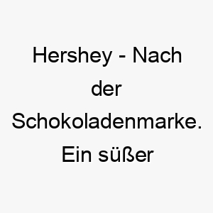 hershey nach der schokoladenmarke ein suesser name fuer einen hund mit schokoladenfarbenem fell 20090