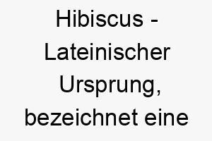 hibiscus lateinischer ursprung bezeichnet eine pflanzengattung bedeutung als hundename perfekt fuer einen farbenfrohen lebhaften hund 14701