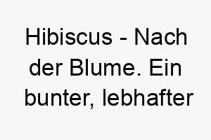 hibiscus nach der blume ein bunter lebhafter name fuer einen hund mit einer farbenfrohen persoenlichkeit 20089