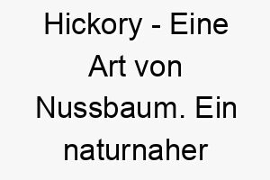 hickory eine art von nussbaum ein naturnaher name fuer einen robusten hund 20059