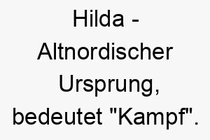 hilda altnordischer ursprung bedeutet kampf bedeutung als hundename ideal fuer einen starken mutigen hund 14687