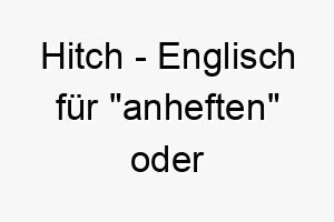 hitch englisch fuer anheften oder mitfahren ein toller name fuer einen reiselustigen hund 19999