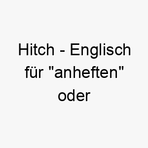 hitch englisch fuer anheften oder mitfahren ein toller name fuer einen reiselustigen hund 19999