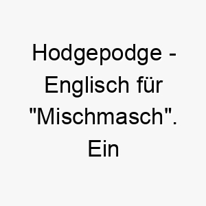 hodgepodge englisch fuer mischmasch ein lustiger name fuer einen mischlingshund 20082