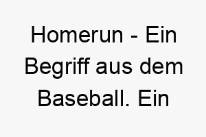 homerun ein begriff aus dem baseball ein sportlicher name fuer einen energischen hund 20050