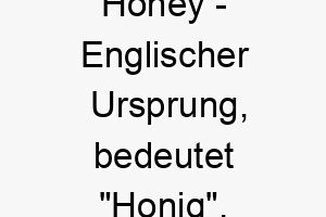 honey englischer ursprung bedeutet honig bedeutung als hundename perfekt fuer einen suessen geliebten hund 14679