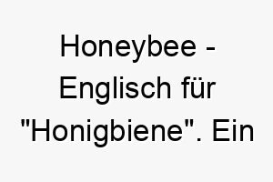 honeybee englisch fuer honigbiene ein suesser name fuer einen fleissigen hund oder einen hund mit einer gelblichen fellfarbe 20038