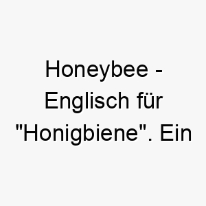 honeybee englisch fuer honigbiene ein suesser name fuer einen fleissigen hund oder einen hund mit einer gelblichen fellfarbe 20038