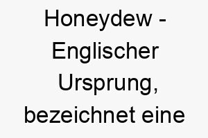 honeydew englischer ursprung bezeichnet eine melonenart bedeutung als hundename geeignet fuer einen suessen liebevollen hund 14689