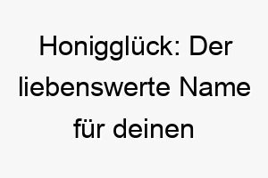 honigglueck der liebenswerte name fuer deinen suessen vierbeiner 23703