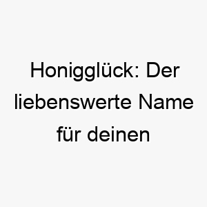 honigglueck der liebenswerte name fuer deinen suessen vierbeiner 23703