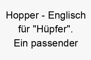 hopper englisch fuer huepfer ein passender name fuer einen sprungfreudigen hund 20080