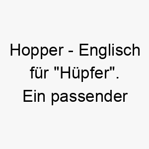 hopper englisch fuer huepfer ein passender name fuer einen sprungfreudigen hund 20080