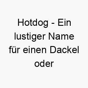 hotdog ein lustiger name fuer einen dackel oder einen hund der essen liebt 20043