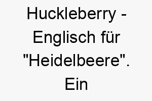 huckleberry englisch fuer heidelbeere ein suesser naturnaher name fuer einen hund 20076