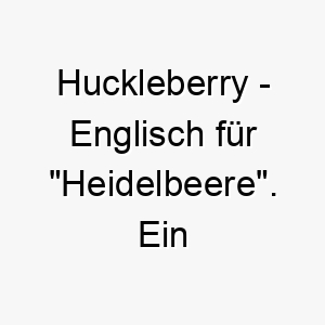 huckleberry englisch fuer heidelbeere ein suesser naturnaher name fuer einen hund 20076