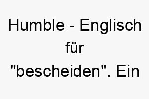 humble englisch fuer bescheiden ein passender name fuer einen ruhigen unaufdringlichen hund 20094