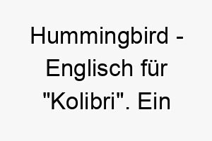 hummingbird englisch fuer kolibri ein huebscher name fuer einen kleinen schnellen hund 20030