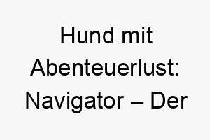 hund mit abenteuerlust navigator der perfekte begleiter fuer entdecker 23264