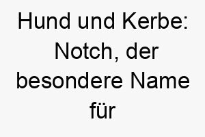 hund und kerbe notch der besondere name fuer markante merkmale 23206