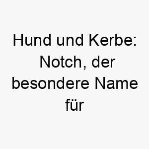 hund und kerbe notch der besondere name fuer markante merkmale 23206