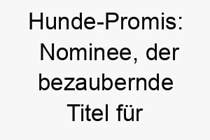 hunde promis nominee der bezaubernde titel fuer die aussergewoehnlichsten fellnasen 23265