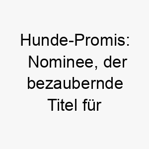 hunde promis nominee der bezaubernde titel fuer die aussergewoehnlichsten fellnasen 23265