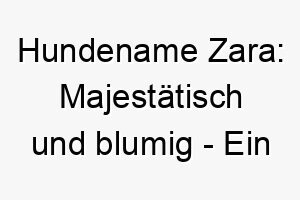 hundename zara majestaetisch und blumig ein blick auf den arabischen und hebraeischen ursprung 11302