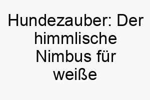 hundezauber der himmlische nimbus fuer weisse fellwunder 23203