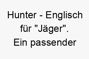 hunter englisch fuer jaeger ein passender name fuer einen hund der gerne auf spaziergaengen auf entdeckung geht 19961