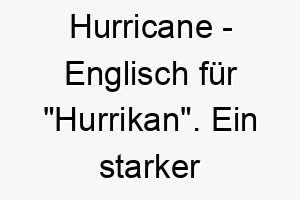 hurricane englisch fuer hurrikan ein starker name fuer einen lebhaften energischen hund 20051