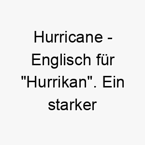 hurricane englisch fuer hurrikan ein starker name fuer einen lebhaften energischen hund 20051